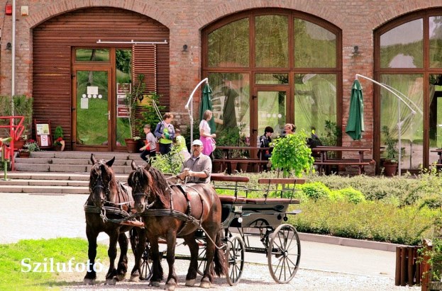 Bőszénfa lovaskocsi